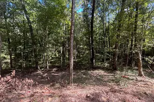 13356 OH-374, Rockbridge, OH 43149 - Photo 9