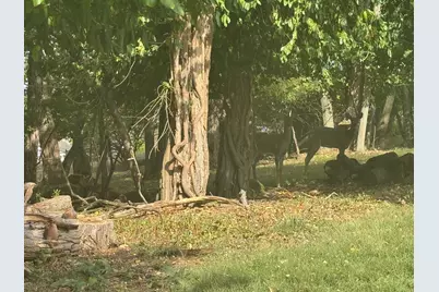 36B Harding Road, Zanesville, OH 43701 - Photo 3