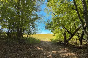 3044 Jasmine Rd NW, Carrollton, OH 44615 - Photo 65