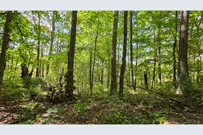 0 Tucker Road #(Tract A at Hocking Hideout), New Straitsville, OH 43766 - Photo 19