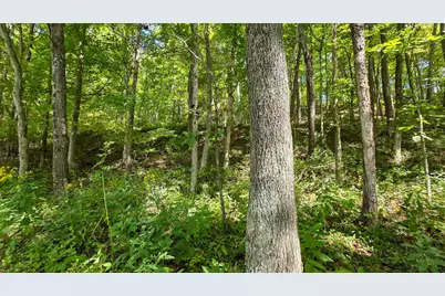 0 Tucker Road #(Tract A at Hocking Hideout), New Straitsville, OH 43766 - Photo 13