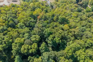 4560 Everett Rd, Urbana, OH 43078 - Photo 89