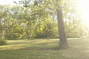 29593 Big Pine Rd, Logan, OH 43138 - Photo 9