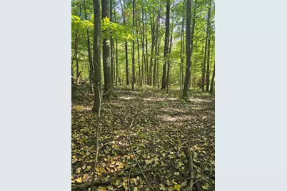 3310 State Route 61, Cardington, OH 43315 - Photo 35