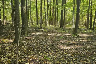 3310 State Rte 61, Cardington, OH 43315 - Photo 35