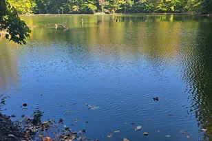 3310 State Rte 61, Cardington, OH 43315 - Photo 31