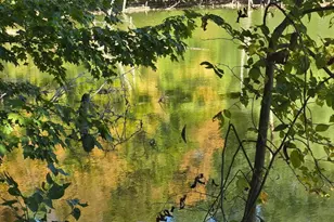 3310 State Rte 61, Cardington, OH 43315 - Photo 39