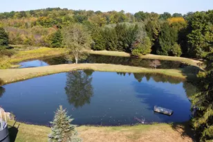 3362 Possum Run Rd, Mansfield, OH 44903 - Photo 53