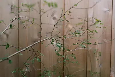 14686 National Road SE, Thornville, OH 43076 - Photo 25