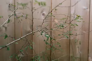 14686 National Rd SE, Thornville, OH 43076 - Photo 25