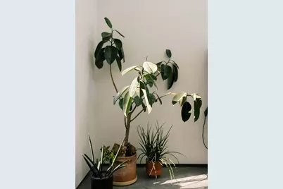 14686 National Road SE, Thornville, OH 43076 - Photo 47