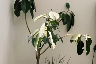 14686 National Rd SE, Thornville, OH 43076 - Photo 47