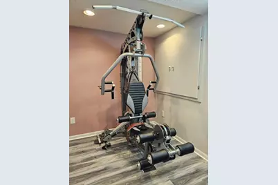 4540 Redwood Vine Drive, New Albany, OH 43054 - Photo 29