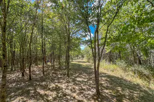 64310 State Route 56, Creola, OH 45622 - Photo 13