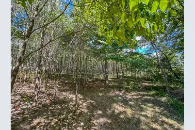 64310 State Route 56, Creola, OH 45622 - Photo 21