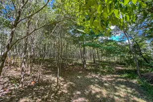 64310 State Route 56, Creola, OH 45622 - Photo 21