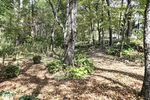 7219 Johnstown Rd, Mount Vernon, OH 43050 - Photo 59