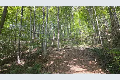 0 Tucker Road #(Tract D at Hocking Hideout), New Straitsville, OH 43766 - Photo 61