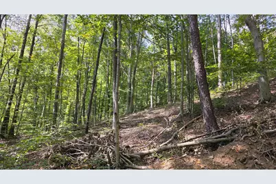 0 Tucker Road #(Tract D at Hocking Hideout), New Straitsville, OH 43766 - Photo 65