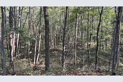 0 Clay Bank Road, Logan, OH 43138 - Photo 5