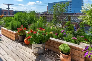 17 W 3rd Ave, Columbus, OH 43201 - Photo 67