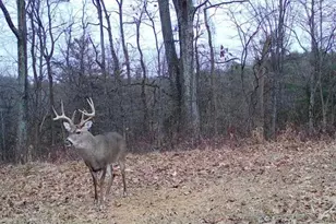 10270 Triadelphia Road NW, Crooksville, OH 43731 - Photo 59