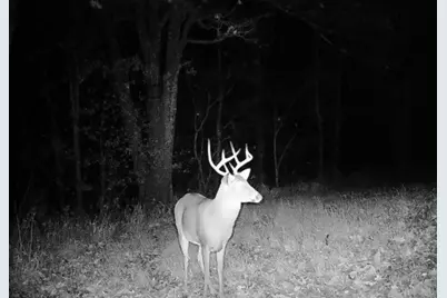 10270 Triadelphia Road NW, Crooksville, OH 43731 - Photo 61