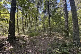 973 Golf Course Rd, Waverly, OH 45690 - Photo 51