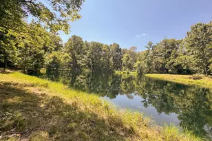 973 Golf Course Rd, Waverly, OH 45690 - Photo 45