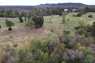 973 Golf Course Rd, Waverly, OH 45690 - Photo 57