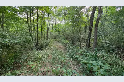 7783 Township Road 216 SE #(Lil Slice of Heaven Cabin), Corning, OH 43730 - Photo 3