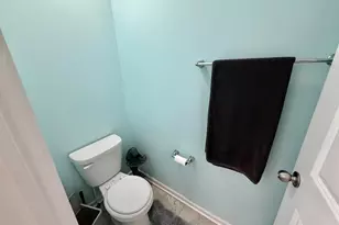 211 Leather Leaf Cir, Sunbury, OH 43074 - Photo 53