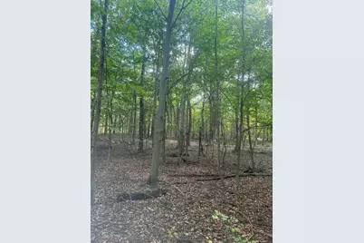 682 County Road 204, Centerburg, OH 43011 - Photo 3