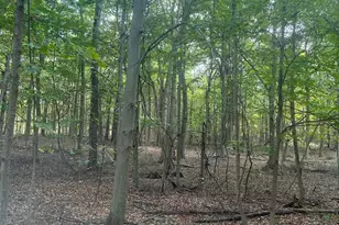 682 County Rd 204, Centerburg, OH 43011 - Photo 3