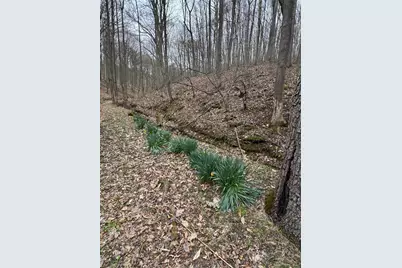 0 Bellia Rd Road, Laurelville, OH 43135 - Photo 5