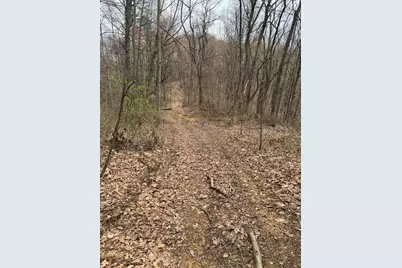 0 Bellia Rd Road, Laurelville, OH 43135 - Photo 7