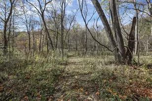 12938 Maysville-Williams Rd, Logan, OH 43138 - Photo 59