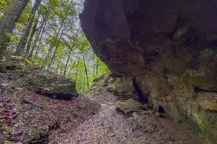 15791 Willow Creek Rd, Athens, OH 45701 - Photo 29