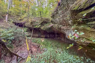 15791 Willow Creek Rd, Athens, OH 45701 - Photo 27