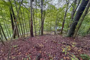 15791 Willow Creek Rd, Athens, OH 45701 - Photo 35