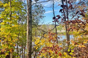 7979 Old River Rd, Philo, OH 43771 - Photo 33