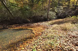 21970 State Route 664, South Bloomingville, OH 43152 - Photo 11