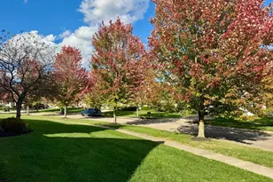 8254 Tricia Price Dr, Powell, OH 43065 - Photo 41