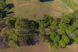 4190 Johnstown-Alexandria Rd, Johnstown, OH 43031 - Photo 13