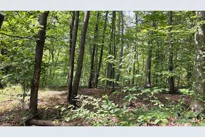 0 Tucker Road #(Tract C at Hocking Hideout), New Straitsville, OH 43766 - Photo 23