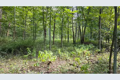 0 Tucker Road #(Tract C at Hocking Hideout), New Straitsville, OH 43766 - Photo 33