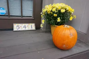 541 Woodingham Pl, Columbus, OH 43213 - Photo 37