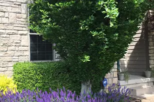 2165 Ben Brush Pl, Lewis Center, OH 43035 - Photo 81