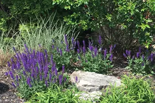 2165 Ben Brush Pl, Lewis Center, OH 43035 - Photo 79