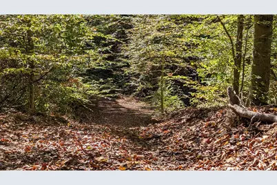 8649 Portie-Flamingo Road SE, New Lexington, OH 43764 - Photo 7